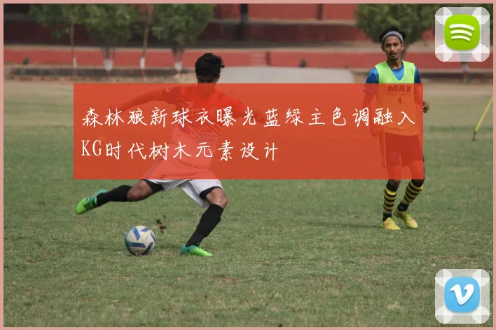 森林狼新球衣曝光蓝绿主色调融入KG时代树木元素设计